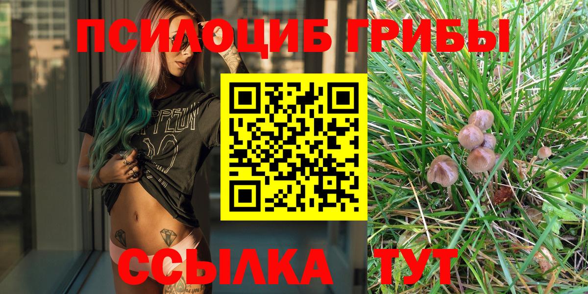 Галлюциногенные грибы Psilocybe  Вход с VPN  как найти закладки  Галлюциногенные грибы Magic Shrooms  Кулебаки 