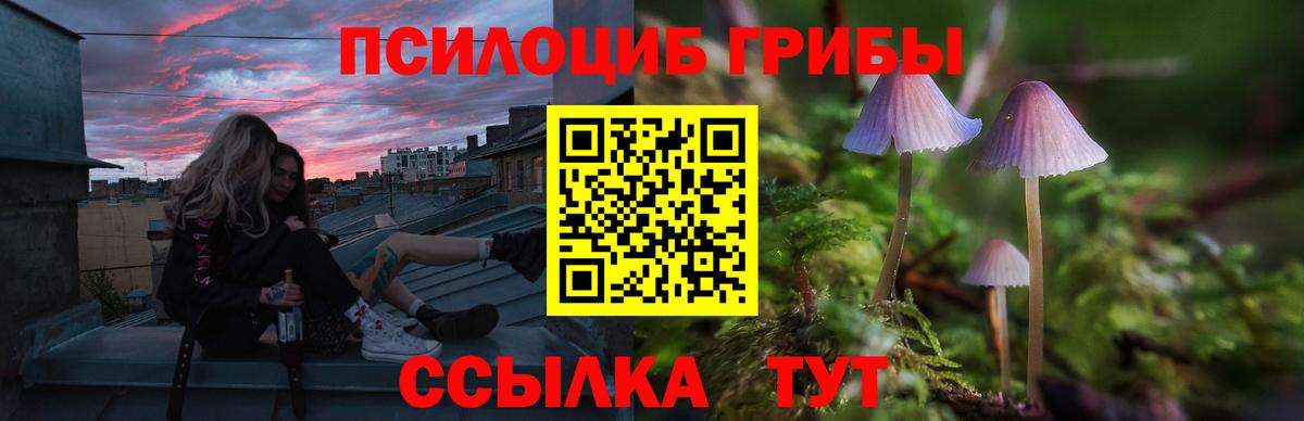 Галлюциногенные грибы мухоморы Кулебаки